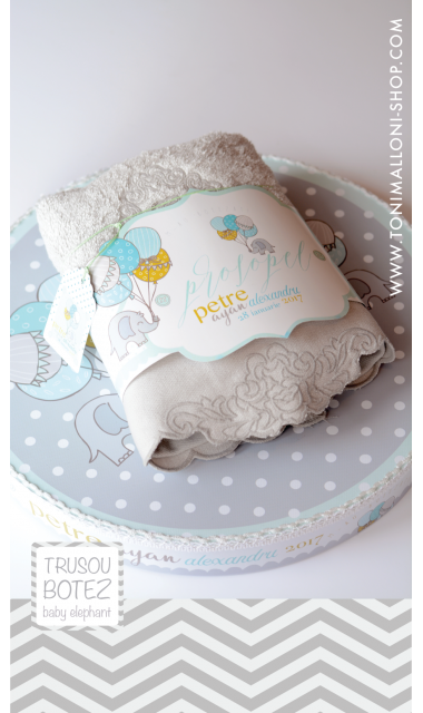 Trusou botez cu elefantei si baloane de aer cald, Grey Baby Elephant  7